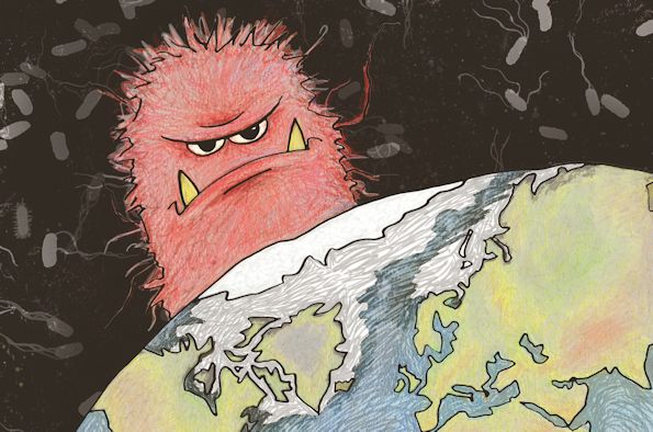 Looking at the world through Salmonella's eyes