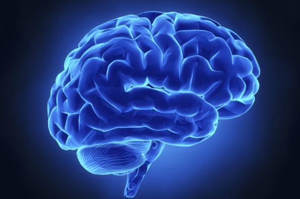 Neurodegeneration of a brain