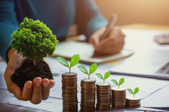 Centre for Sustainable Business Summer Conference 2025