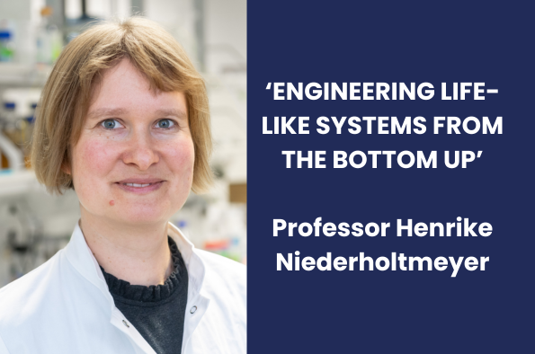 ISMIB Seminar icon - Professor Henrike Niederholtmeyer