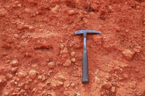 Grow your future: Environmental sciences employability week