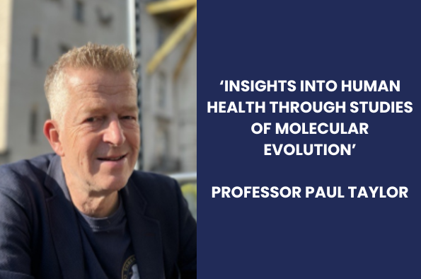 Professor Paul Taylor