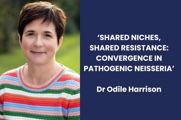 CIMI Seminar series Dr Odile Harrison