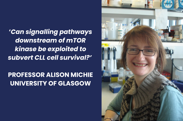 Professor Alison Michie