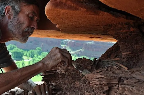 Professor Robert L. Kelly