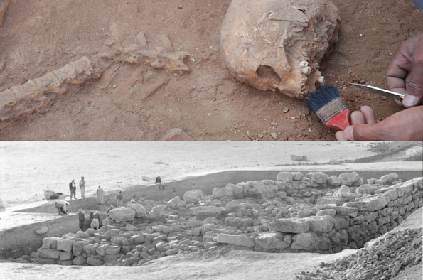 Early Village Societies