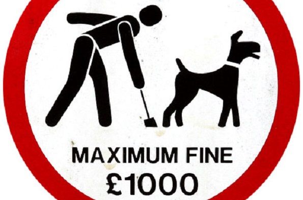 dog fouling sign