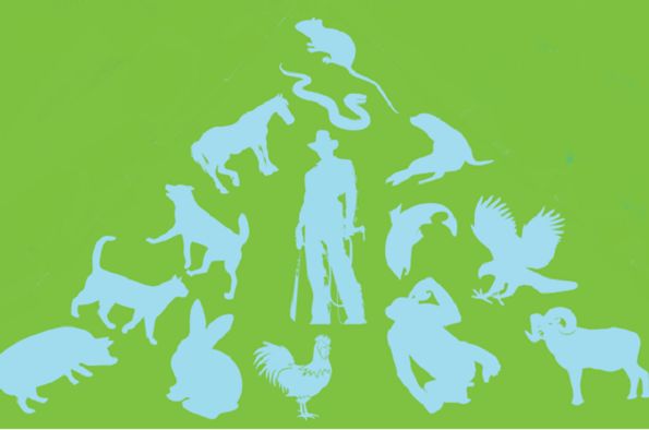 Pets, Pests & People