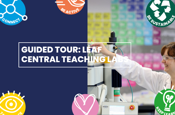 CTL Labs